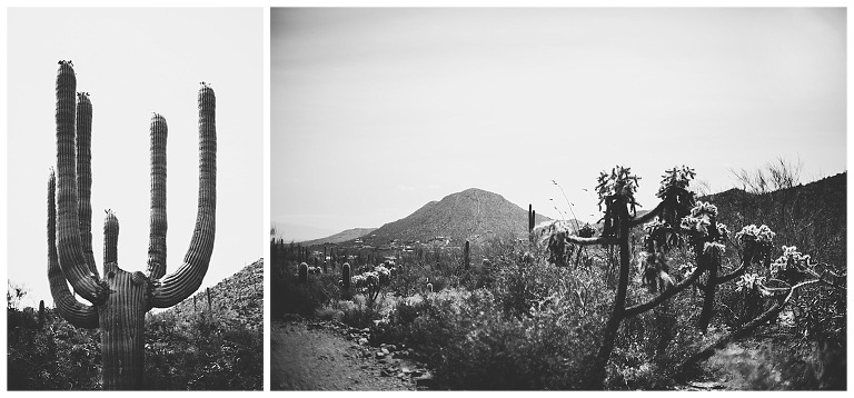 camp cooper tucson az, freelensed, freelensing photography, the free 52 project, desert art, desert inspiration, tucson photography, kristin anderson photography
